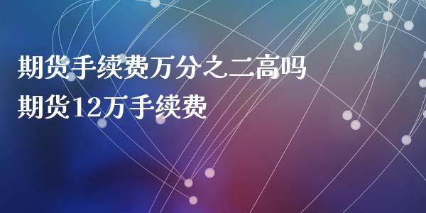 期货手续费万分之二高吗 期货12万手续费_https://www.iteshow.com_期货开户_第2张