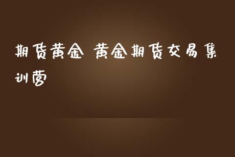 期货黄金 黄金期货交易集训营_https://www.iteshow.com_期货手续费_第2张