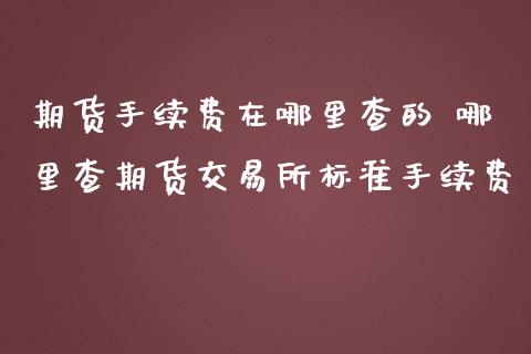 期货手续费在哪里查的 哪里查期货交易所标准手续费_https://www.iteshow.com_商品期货_第2张