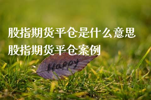 股指期货平仓是什么意思 股指期货平仓案例_https://www.iteshow.com_股指期货_第2张