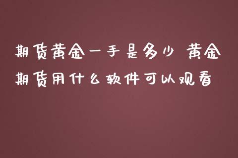 期货黄金一手是多少 黄金期货用什么软件可以观看_https://www.iteshow.com_期货公司_第2张