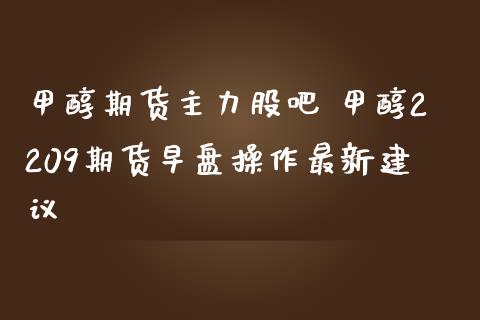 甲醇期货主力股吧 甲醇2209期货早盘操作最新建议_https://www.iteshow.com_商品期权_第2张