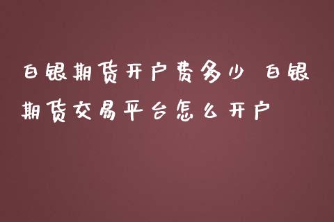 白银期货开户费多少 白银期货交易平台怎么开户_https://www.iteshow.com_股指期权_第2张