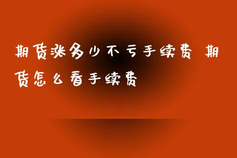 期货涨多少不亏手续费 期货怎么看手续费_https://www.iteshow.com_期货交易_第2张