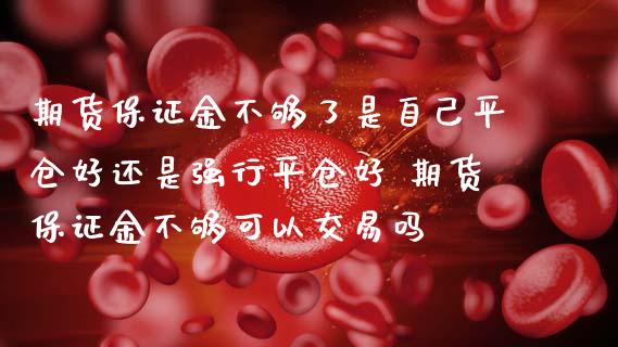 期货保证金不够了是自己平仓好还是强行平仓好 期货保证金不够可以交易吗_https://www.iteshow.com_股指期货_第2张