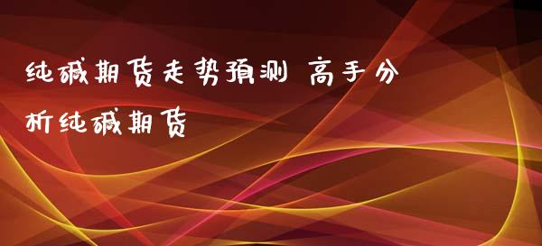 纯碱期货走势预测 高手分析纯碱期货_https://www.iteshow.com_原油期货_第2张