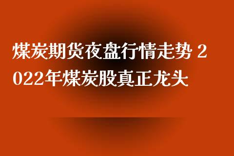 煤炭期货夜盘行情走势 2022年煤炭股真正龙头_https://www.iteshow.com_商品期货_第2张