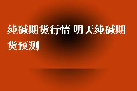 纯碱期货行情 明天纯碱期货预测_https://www.iteshow.com_期货公司_第2张