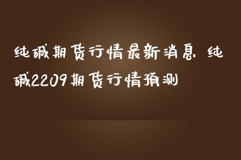 纯碱期货行情最新消息 纯碱2209期货行情预测_https://www.iteshow.com_期货知识_第2张