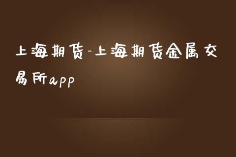 上海期货-上海期货金属交易所app_https://www.iteshow.com_期货品种_第2张