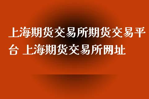 上海期货交易所期货交易平台 上海期货交易所网址_https://www.iteshow.com_期货百科_第2张