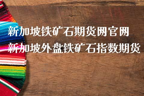 新加坡铁矿石期货网官网 新加坡外盘铁矿石指数期货_https://www.iteshow.com_期货手续费_第2张