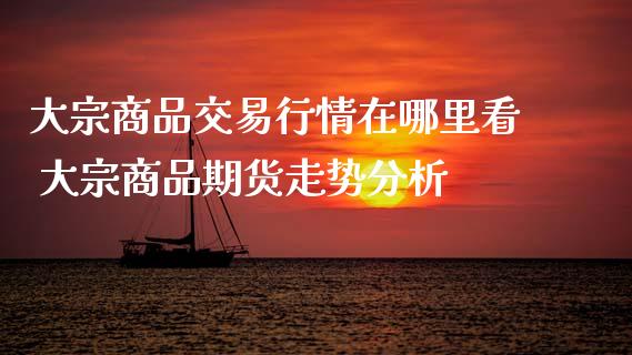 大宗商品交易行情在哪里看 大宗商品期货走势分析_https://www.iteshow.com_期货公司_第2张