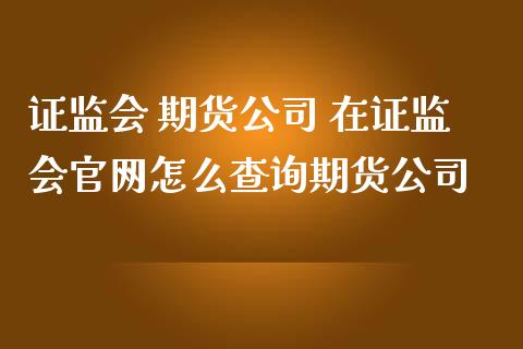 证监会 期货公司 在证监会官网怎么查询期货公司_https://www.iteshow.com_商品期权_第2张