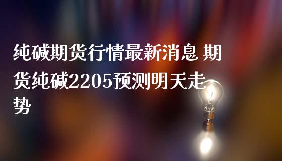 纯碱期货行情最新消息 期货纯碱2205预测明天走势_https://www.iteshow.com_期货百科_第2张