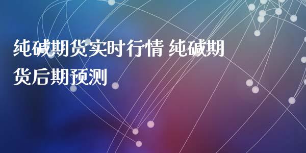 纯碱期货实时行情 纯碱期货后期预测_https://www.iteshow.com_原油期货_第2张