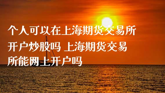 个人可以在上海期货交易所开户炒股吗 上海期货交易所能网上开户吗_https://www.iteshow.com_商品期货_第2张