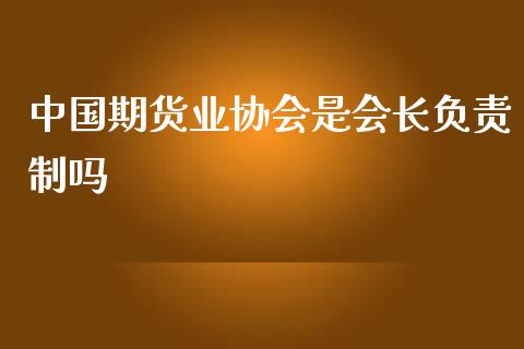 中国期货业协会是会长负责制吗_https://www.iteshow.com_商品期权_第2张