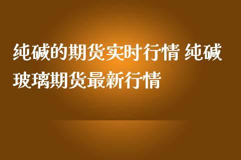 纯碱的期货实时行情 纯碱玻璃期货最新行情_https://www.iteshow.com_期货手续费_第2张