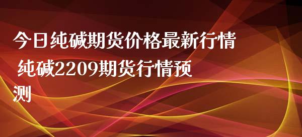 今日纯碱期货价格最新行情 纯碱2209期货行情预测_https://www.iteshow.com_期货知识_第2张