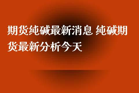 期货纯碱最新消息 纯碱期货最新分析今天_https://www.iteshow.com_期货百科_第2张