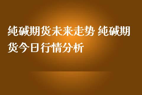 纯碱期货未来走势 纯碱期货今日行情分析_https://www.iteshow.com_期货开户_第2张