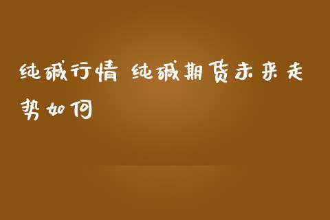 纯碱行情 纯碱期货未来走势如何_https://www.iteshow.com_商品期权_第2张