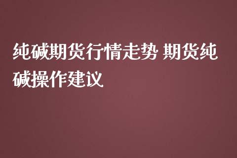 纯碱期货行情走势 期货纯碱操作建议_https://www.iteshow.com_期货品种_第2张