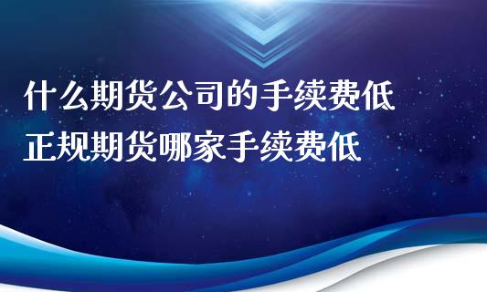 什么期货公司的手续费低 正规期货哪家手续费低_https://www.iteshow.com_期货知识_第2张