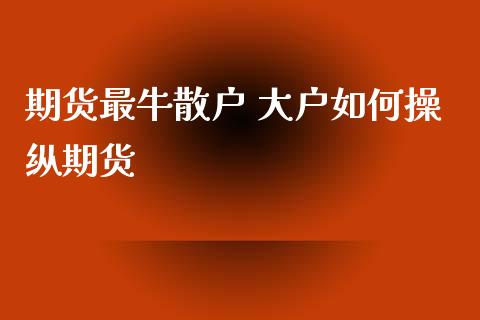 期货最牛散户 大户如何操纵期货_https://www.iteshow.com_期货手续费_第2张