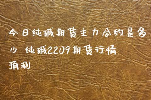 今日纯碱期货主力合约是多少 纯碱2209期货行情预测_https://www.iteshow.com_期货知识_第2张