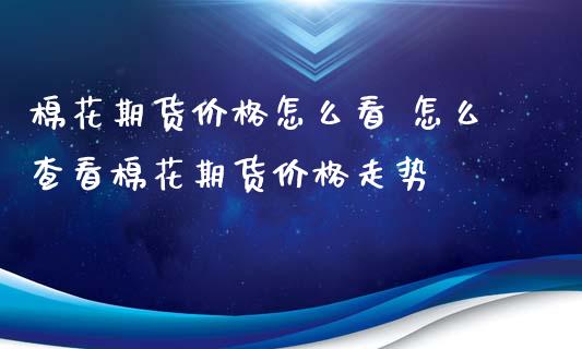 棉花期货价格怎么看 怎么查看棉花期货价格走势_https://www.iteshow.com_期货品种_第2张