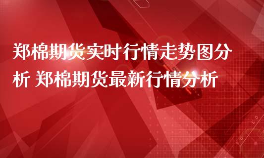 郑棉期货实时行情走势图分析 郑棉期货最新行情分析_https://www.iteshow.com_期货百科_第2张