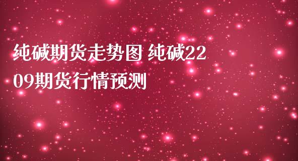 纯碱期货走势图 纯碱2209期货行情预测_https://www.iteshow.com_期货交易_第2张