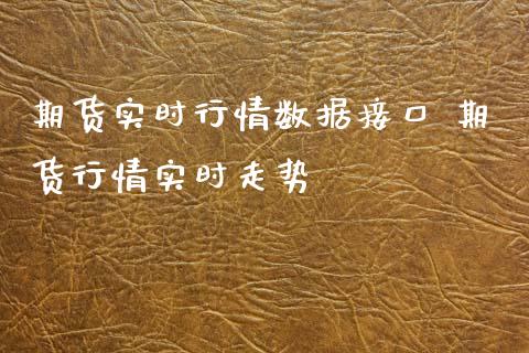 期货实时行情数据接口 期货行情实时走势_https://www.iteshow.com_期货手续费_第2张