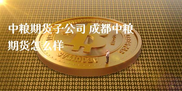 中粮期货子公司 成都中粮期货怎么样_https://www.iteshow.com_商品期货_第2张