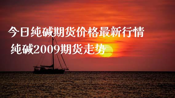 今日纯碱期货价格最新行情 纯碱2009期货走势_https://www.iteshow.com_期货交易_第2张