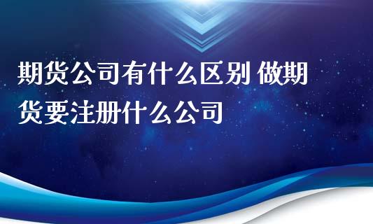 期货公司有什么区别 做期货要注册什么公司_https://www.iteshow.com_期货公司_第2张