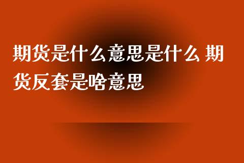 期货是什么意思是什么 期货反套是啥意思_https://www.iteshow.com_期货开户_第2张