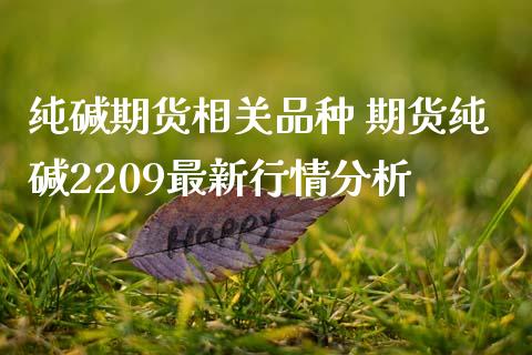 纯碱期货相关品种 期货纯碱2209最新行情分析_https://www.iteshow.com_商品期权_第2张