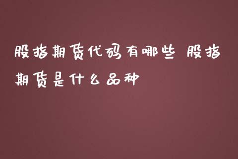 股指期货代码有哪些 股指期货是什么品种_https://www.iteshow.com_期货公司_第2张