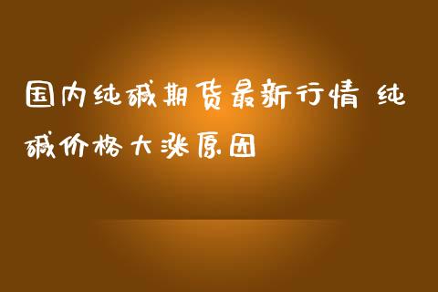 国内纯碱期货最新行情 纯碱价格大涨原因_https://www.iteshow.com_期货品种_第2张