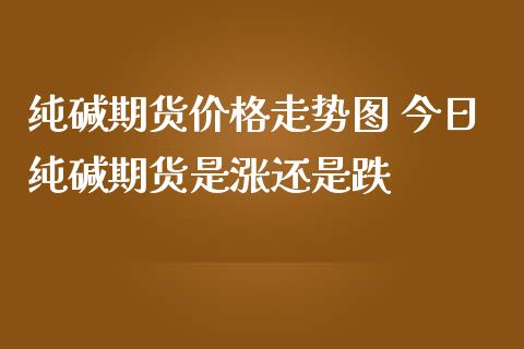 纯碱期货价格走势图 今日纯碱期货是涨还是跌_https://www.iteshow.com_期货知识_第2张