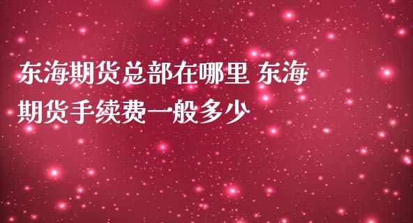 东海期货总部在哪里 东海期货手续费一般多少_https://www.iteshow.com_期货知识_第2张