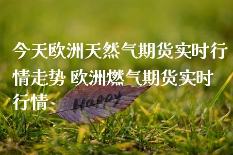 今天欧洲天然气期货实时行情走势 欧洲燃气期货实时行情_https://www.iteshow.com_原油期货_第2张