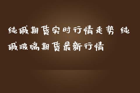 纯碱期货实时行情走势 纯碱玻璃期货最新行情_https://www.iteshow.com_期货手续费_第2张