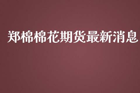 郑棉棉花期货最新消息_https://www.iteshow.com_期货知识_第2张