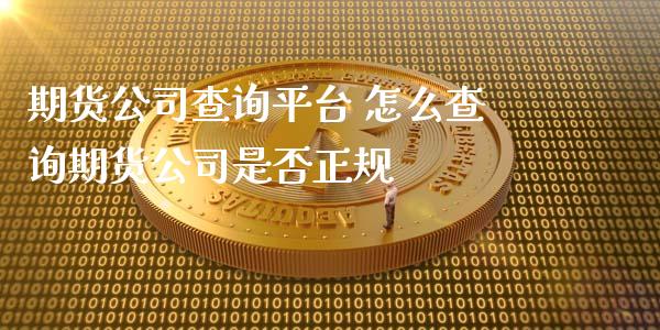 期货公司查询平台 怎么查询期货公司是否正规_https://www.iteshow.com_商品期权_第2张