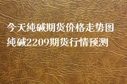 今天纯碱期货价格走势图 纯碱2209期货行情预测_https://www.iteshow.com_期货交易_第2张