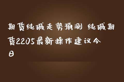 期货纯碱走势预测 纯碱期货2205最新操作建议今日_https://www.iteshow.com_期货品种_第2张